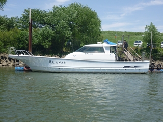 2011N