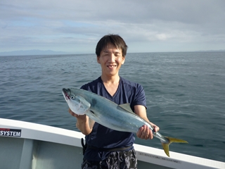 2011N