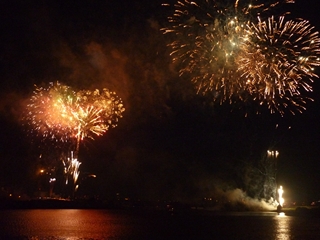 2011N