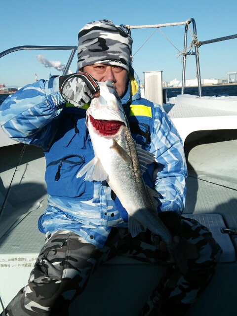 2013N