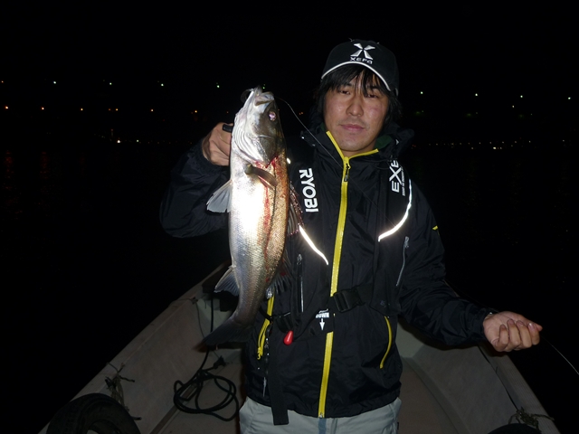 2012N