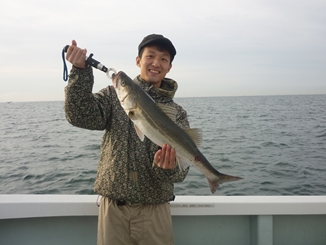 2012N