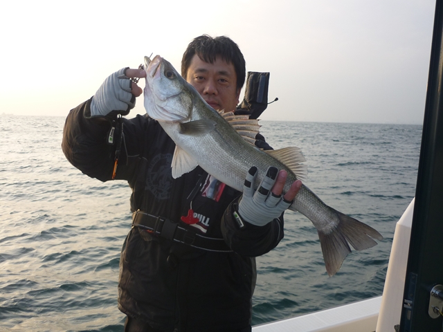 2012N