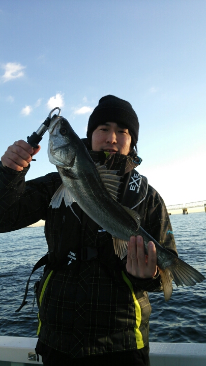 2013N