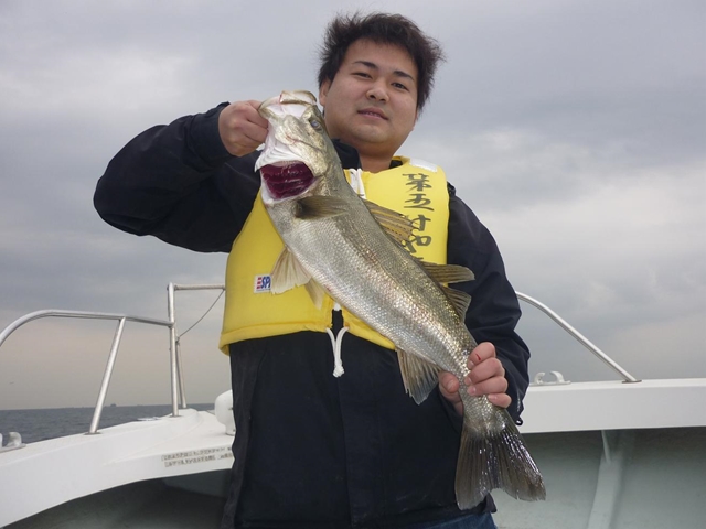 2013N