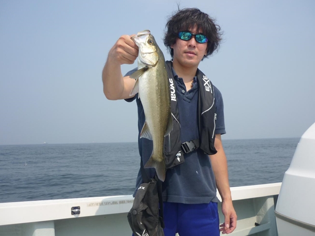 2013N