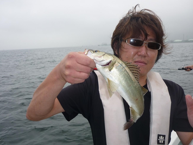 2013N