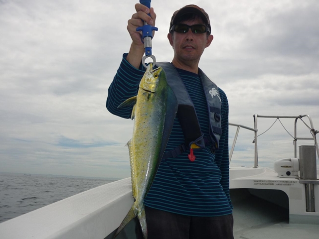 2013N