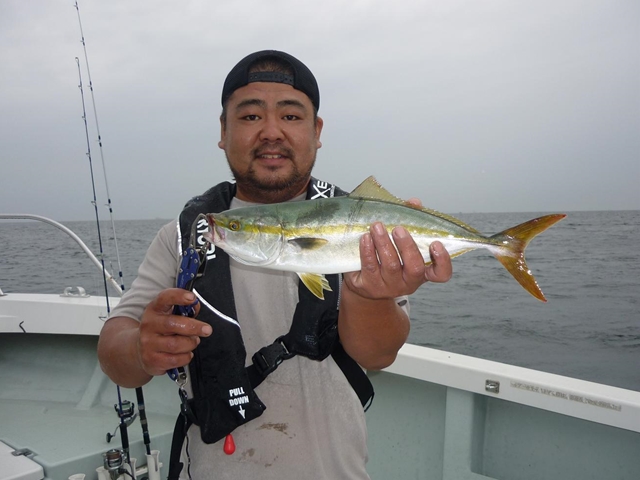 2013N