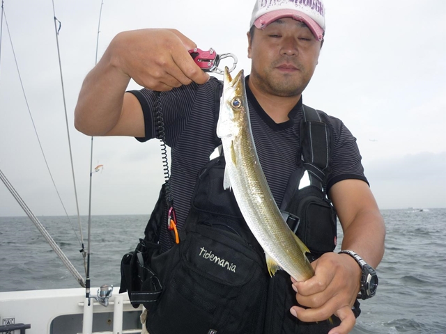 2013N