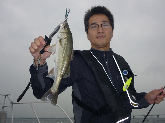 2013N
