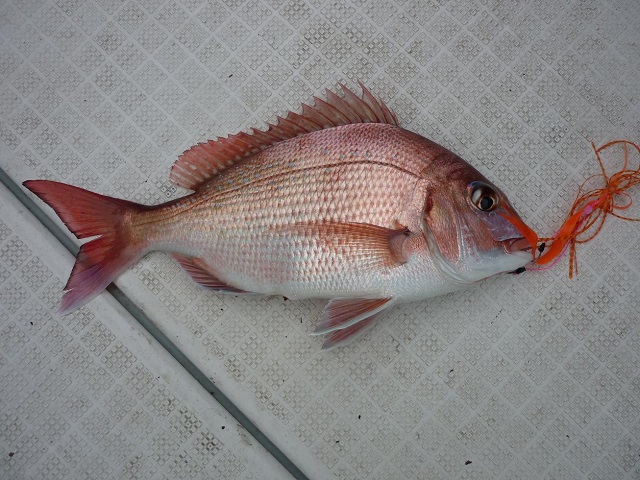 2015N