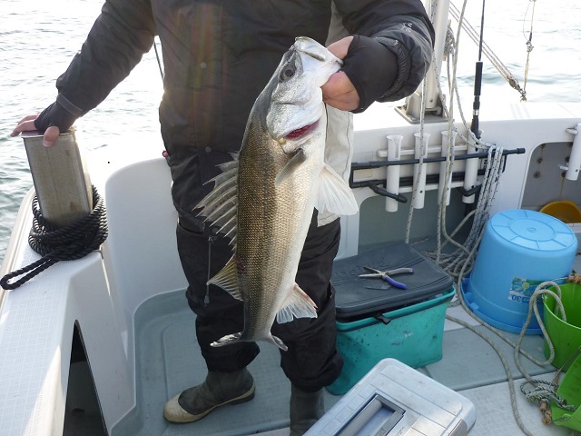 2014N