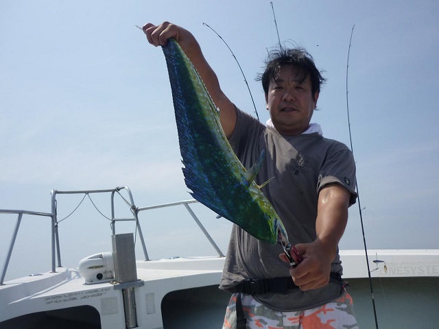 2015N