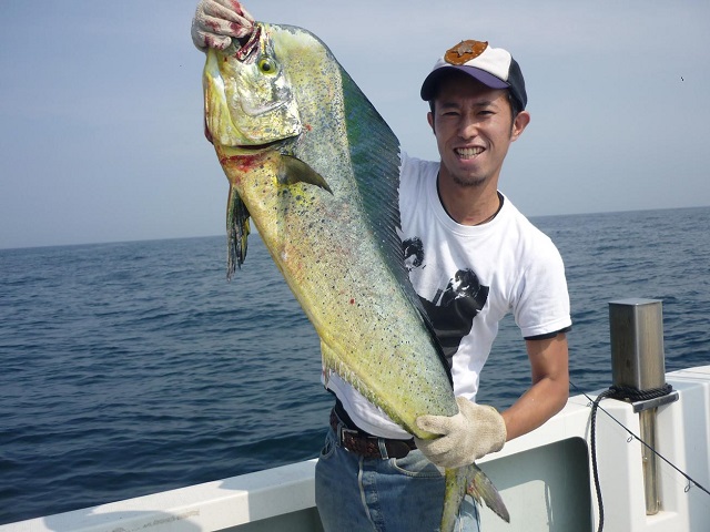 2015N