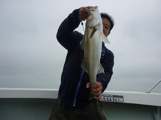 2015N