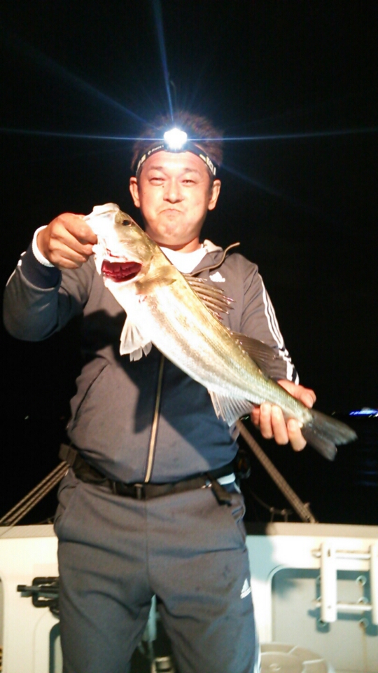 2016N